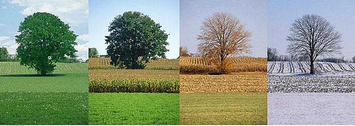 万代南梦宫《刀剑神域：碎梦边境》系统预告片分享