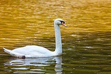 《暗黑破坏神4》预载时间和PC配置详情需求公布