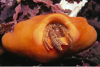 争议性军事FPS《费卢杰六日》跳票至2022年第四季度