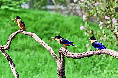 粉丝批评《守望先锋2》和原版一样 暴雪开发者作出回应