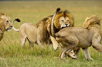 《光环：无限》全新视频介绍S2赛季两张新地图